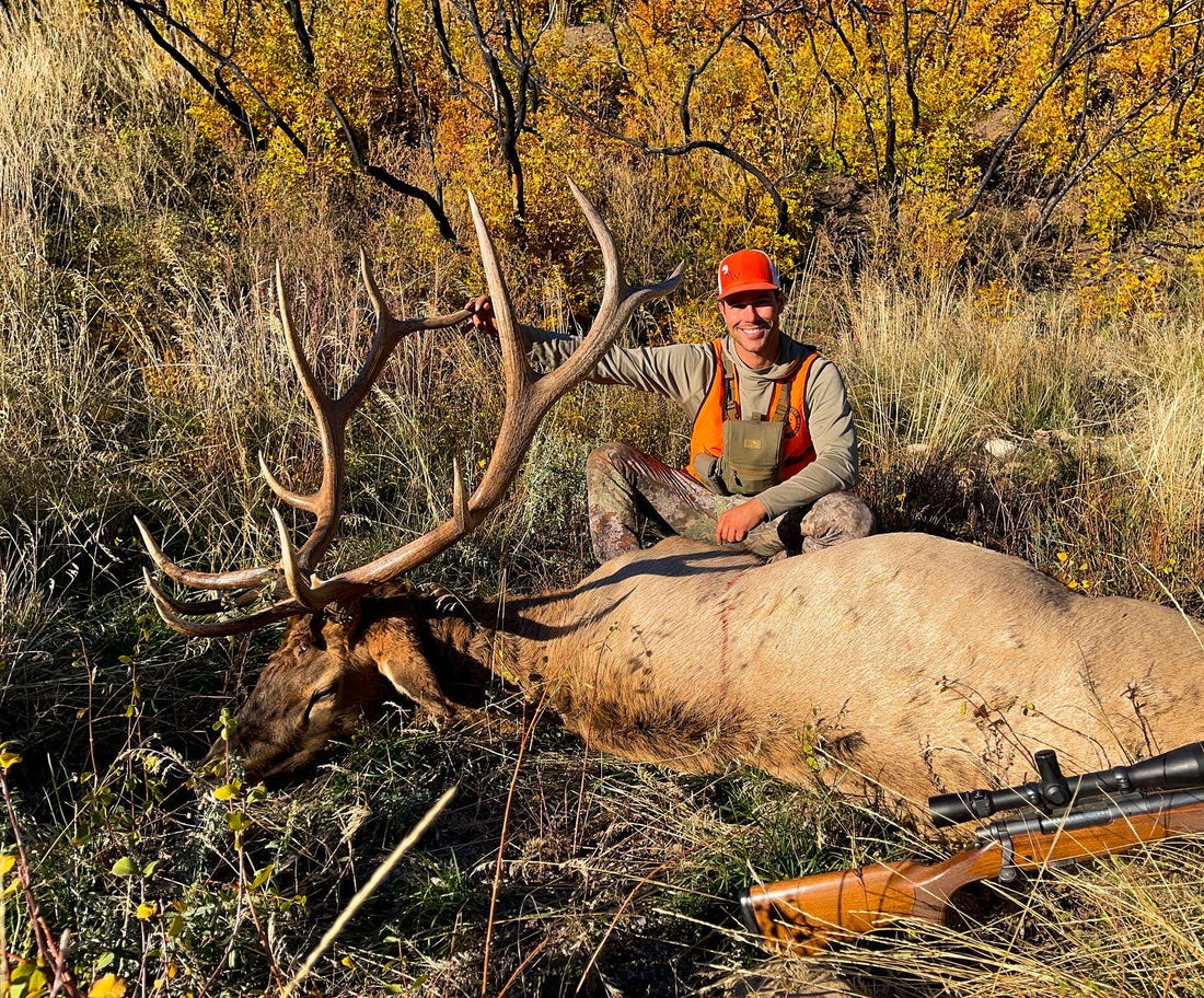 Credence | Rifle Elk Hunt